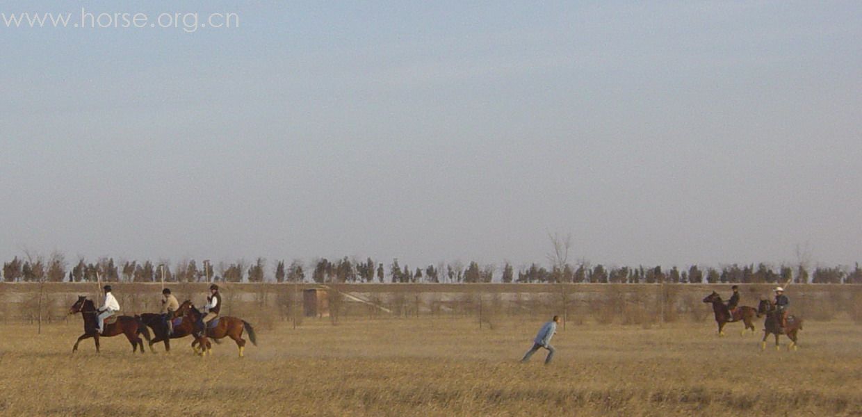 [贴图]2008德龙马球初体验