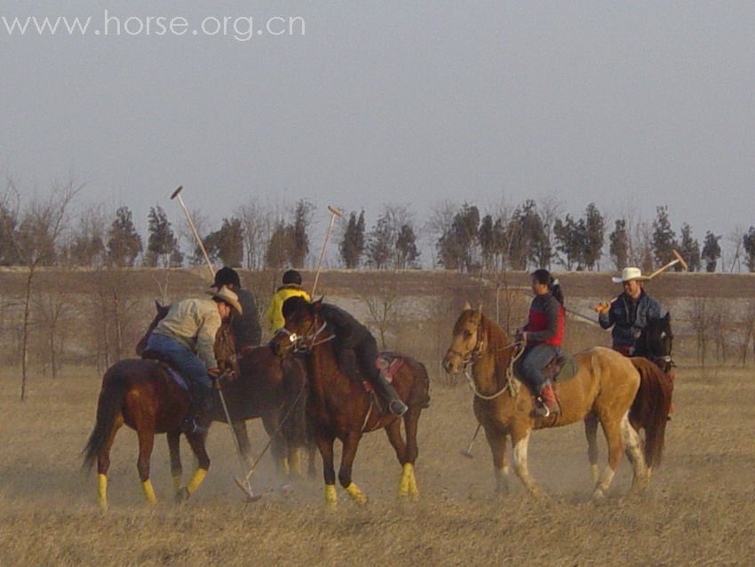 [贴图]2008德龙马球初体验