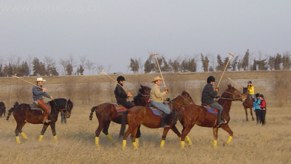 [贴图]2008德龙马球初体验