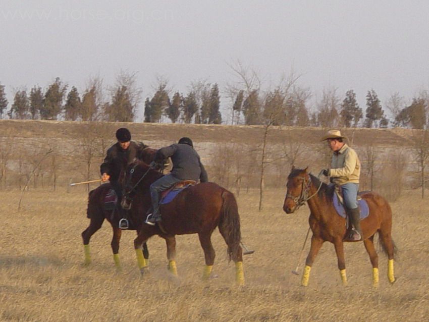 [贴图]2008德龙马球初体验