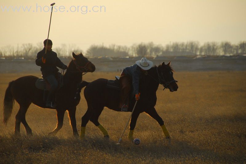 鏖战永定河谷——2月23日陈良马场polo体验照片