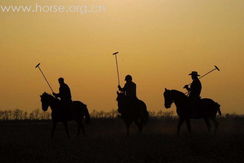 鏖战永定河谷——2月23日陈良马场polo体验照片