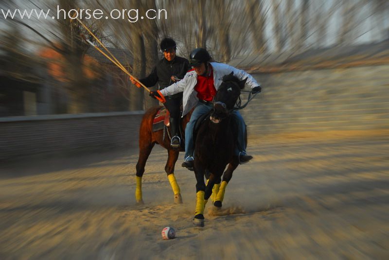 鏖战永定河谷——2月23日陈良马场polo体验照片