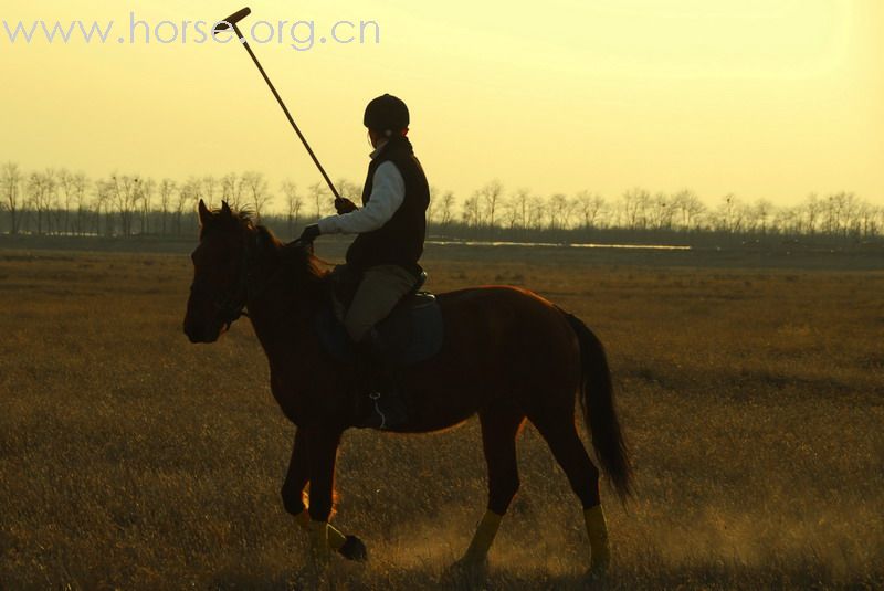 鏖战永定河谷——2月23日陈良马场polo体验照片