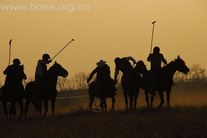 鏖战永定河谷——2月23日陈良马场polo体验照片