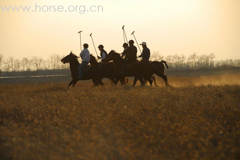 鏖战永定河谷——2月23日陈良马场polo体验照片