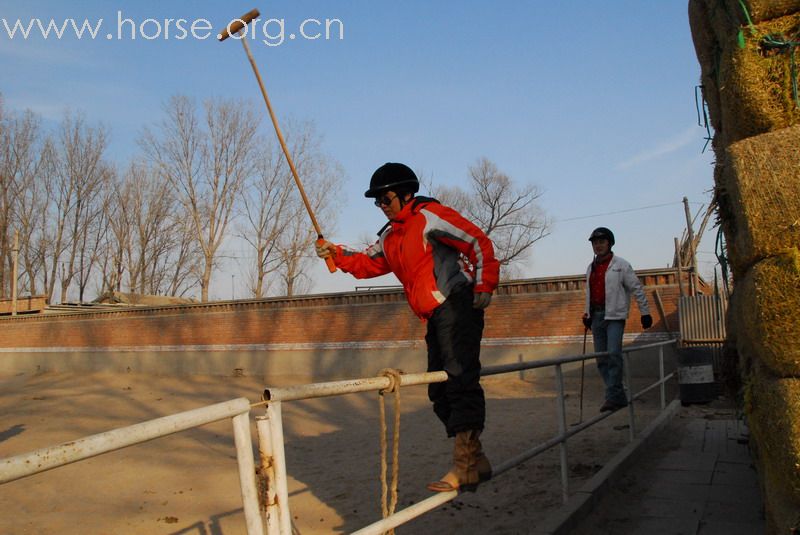 鏖战永定河谷——2月23日陈良马场polo体验照片