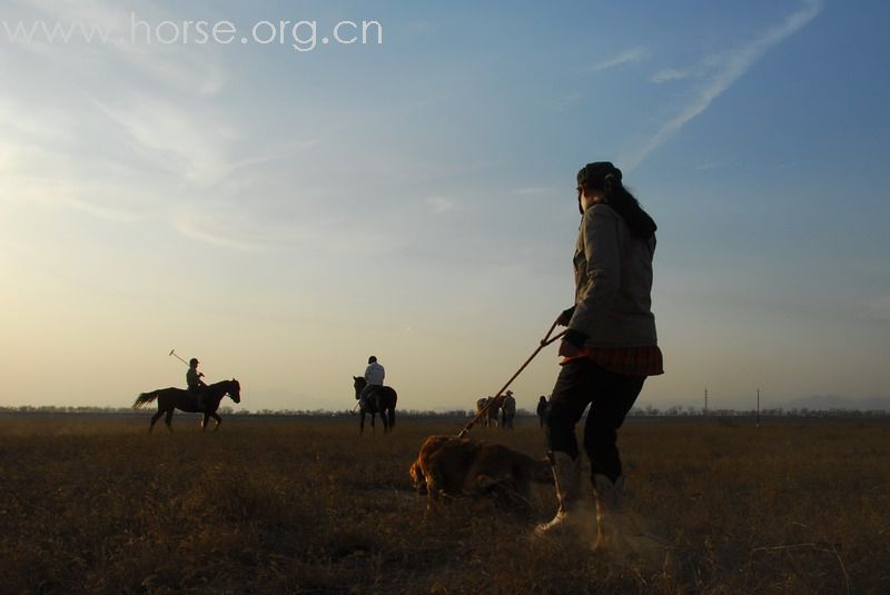 鏖战永定河谷——2月23日陈良马场polo体验照片