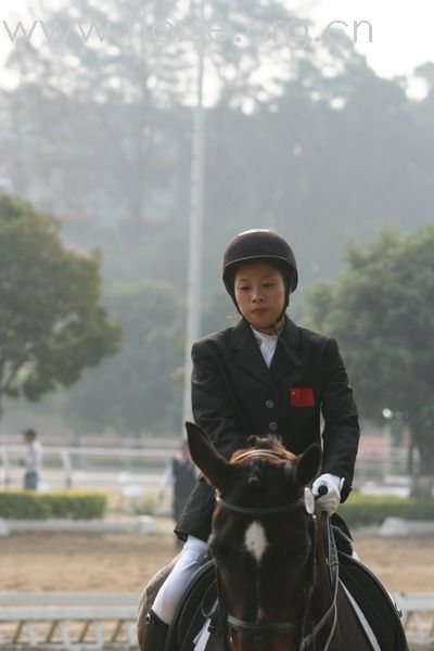 [贴图]广东.残奥会马术资格赛