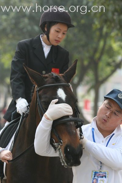 [贴图]广东.残奥会马术资格赛