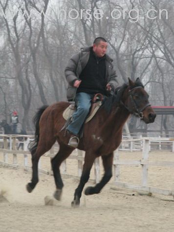 我们在烟湖的告别骑乘！