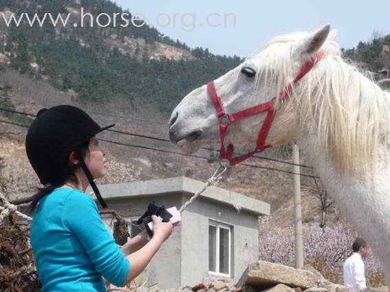 4月5号凤凰山庄骑马游山玩水