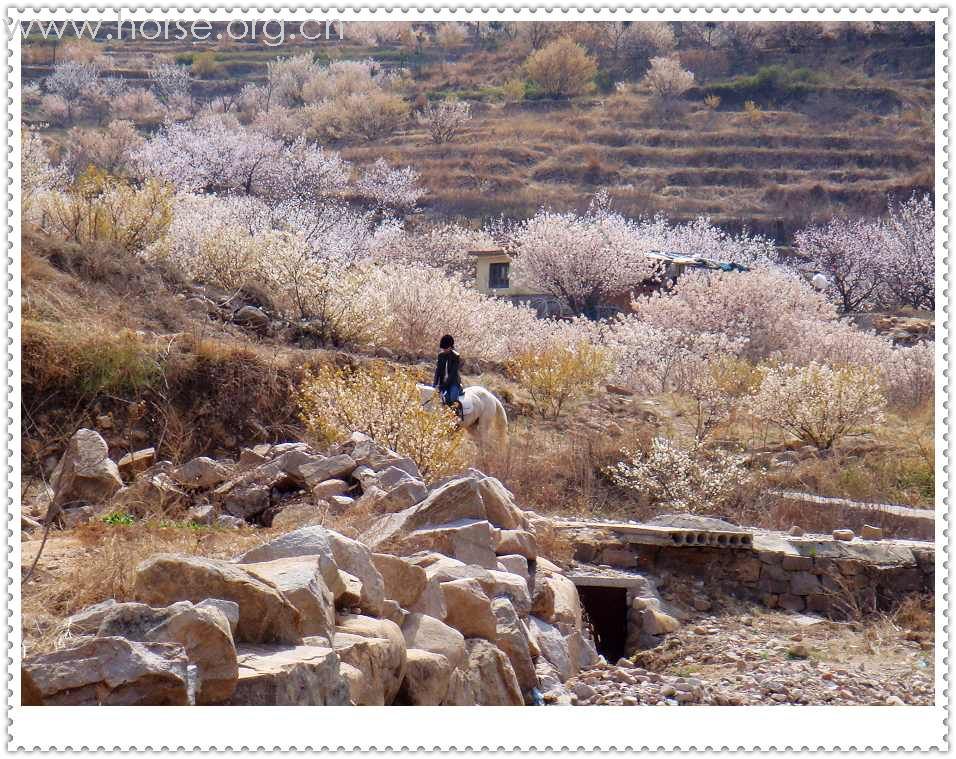 山东马友再聚青岛凤凰山庄周年庆--穿越崂山骑游记(更新中)