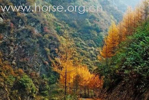 地震前美丽的汶川—重建我们的家园