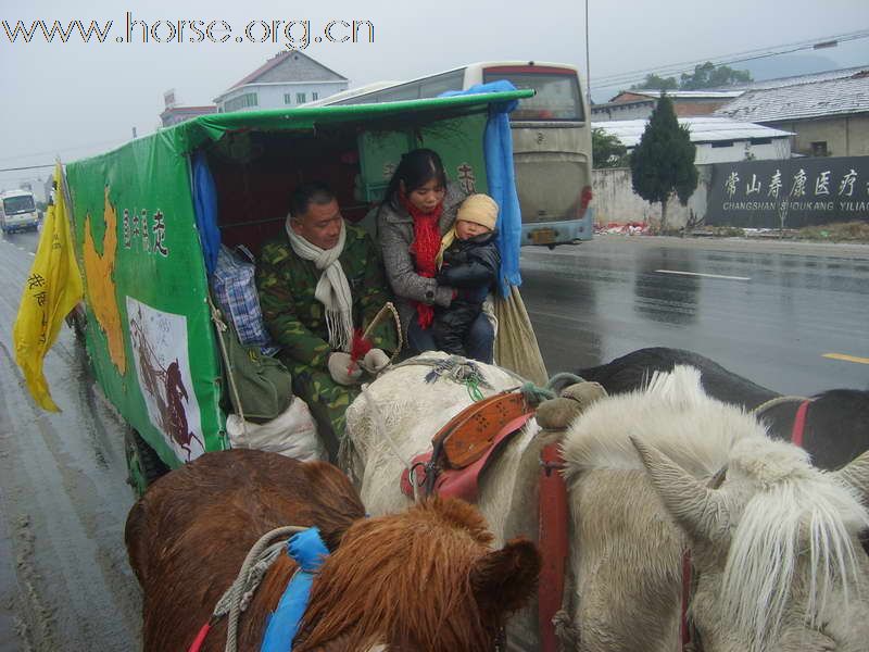 热烈祝贺“走马中国”迎奥运活动圆满成功！