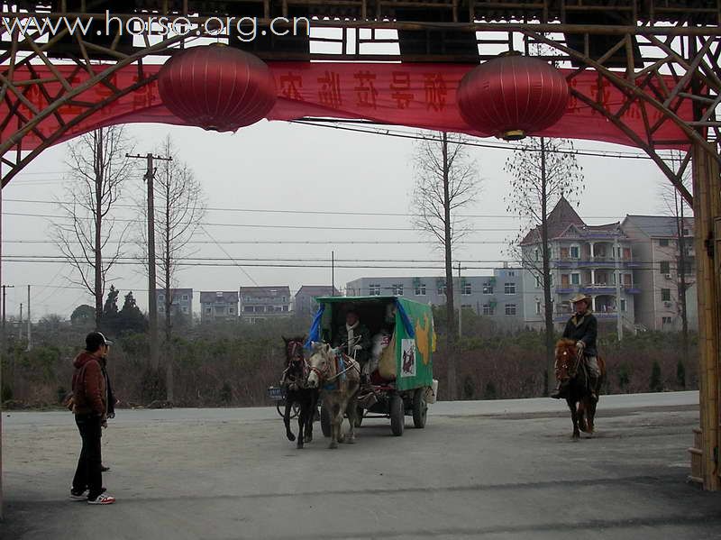 热烈祝贺“走马中国”迎奥运活动圆满成功！