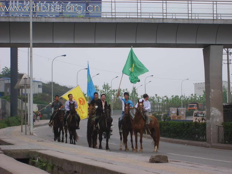 热烈祝贺“走马中国”迎奥运活动圆满成功！