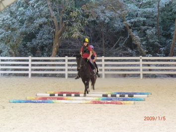 美國奧運時候送給香港的小馬