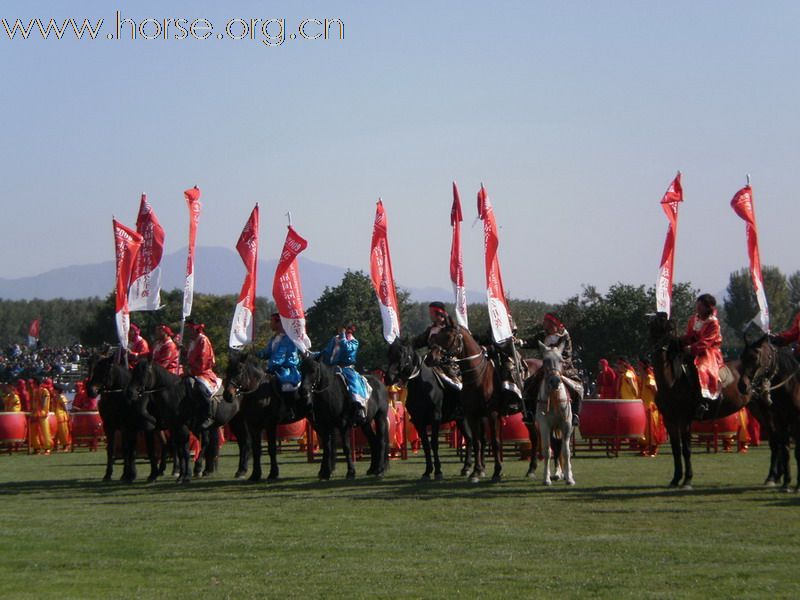 2009北京首届国际马球公开赛10月6日在阳光时代马球俱乐部成功举办