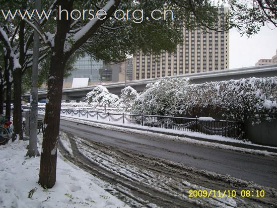 [分享]京城好大雪,瑞雪兆丰年.