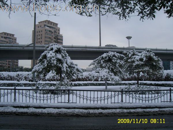 [分享]京城好大雪,瑞雪兆丰年.