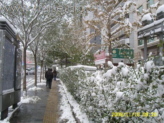 [分享]京城好大雪,瑞雪兆丰年.