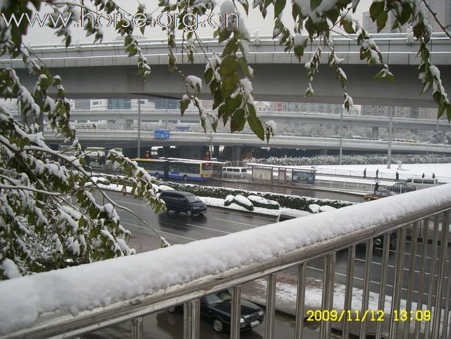 [分享]京城好大雪,瑞雪兆丰年.