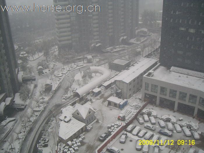 [分享]京城好大雪,瑞雪兆丰年.