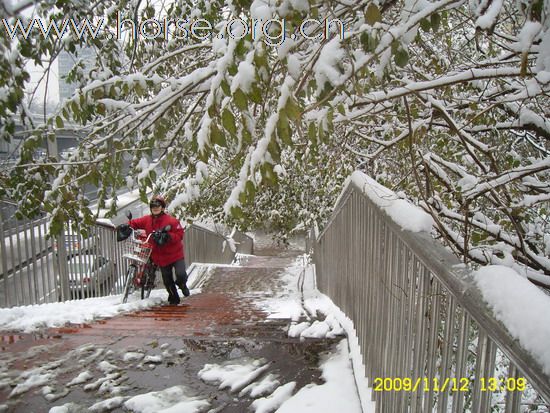 [分享]京城好大雪,瑞雪兆丰年.