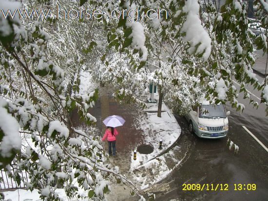 [分享]京城好大雪,瑞雪兆丰年.