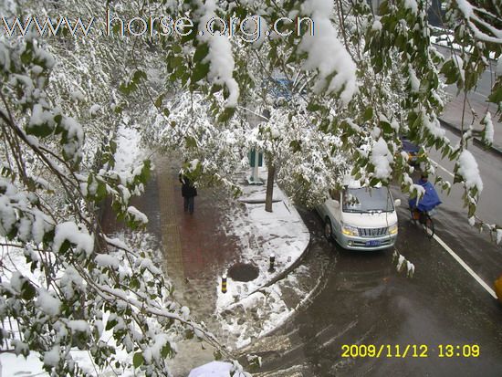 [分享]京城好大雪,瑞雪兆丰年.