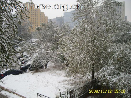 [分享]京城好大雪,瑞雪兆丰年.