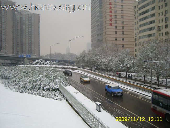 [分享]京城好大雪,瑞雪兆丰年.