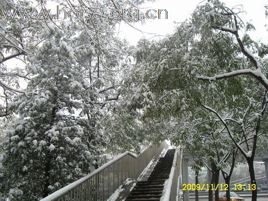 [分享]京城好大雪,瑞雪兆丰年.