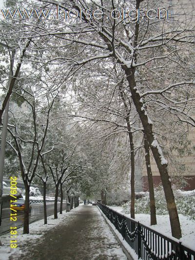 [分享]京城好大雪,瑞雪兆丰年.