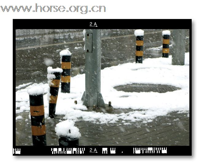 和雪版主之"瑞雪兆丰年":晓光手记"2009北京第一场雪"