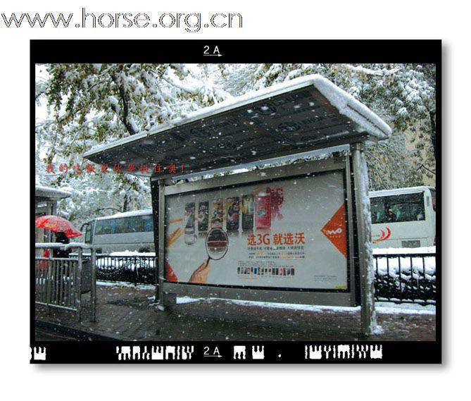 和雪版主之"瑞雪兆丰年":晓光手记"2009北京第一场雪"