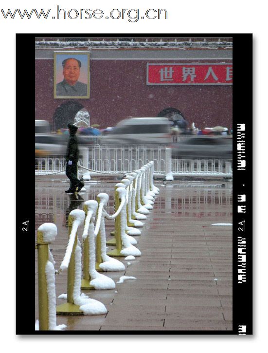 和雪版主之"瑞雪兆丰年":晓光手记"2009北京第一场雪"