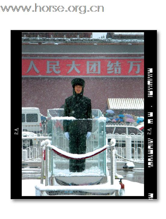 和雪版主之"瑞雪兆丰年":晓光手记"2009北京第一场雪"