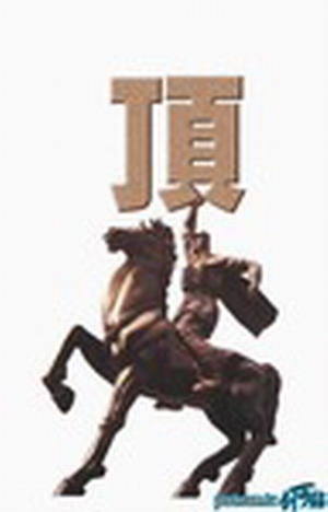 2009NBHA意大利绕桶世界杯比赛汇报(6匹马，两个人）