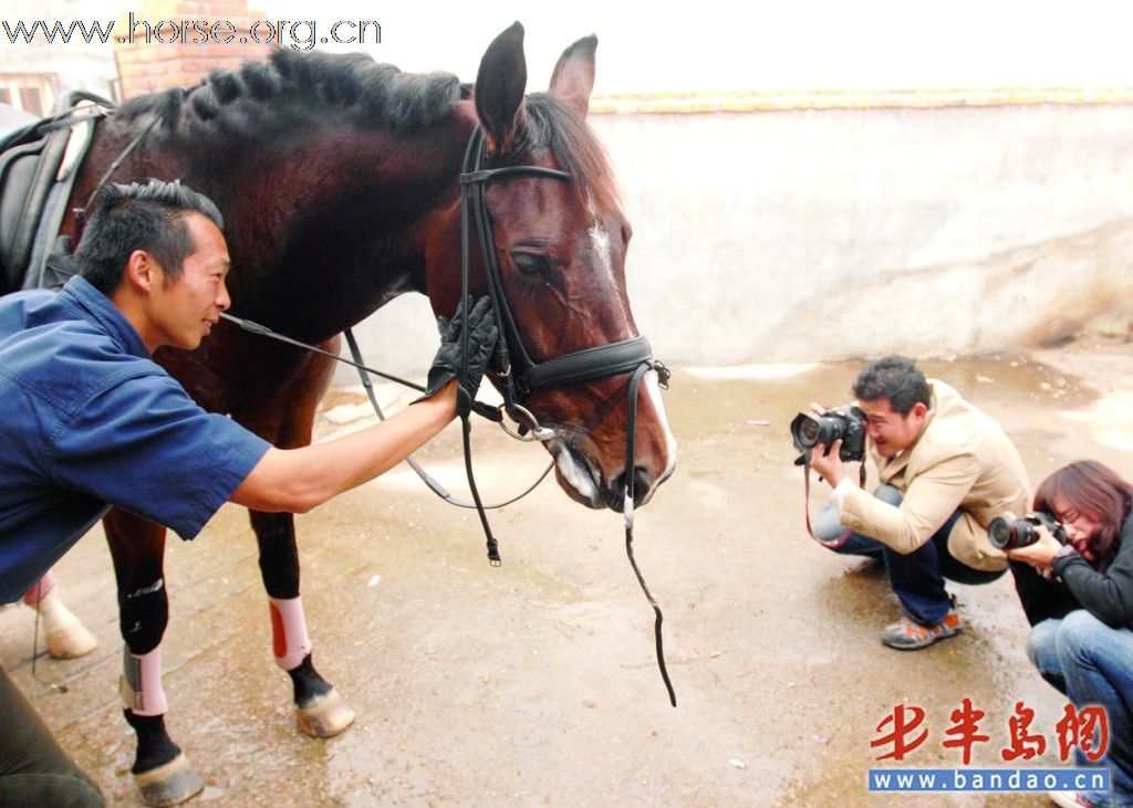 全国盛装舞步比赛 青岛崂山“踏浪起舞”