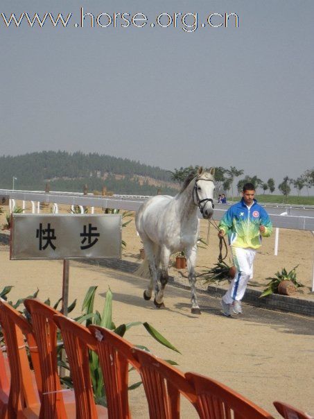 第十一屆山東全運會 香港隊的風采