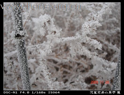 [永定河耐力赛掠影]志愿者英姿：众人拾柴火焰高，战地霜花分外靓