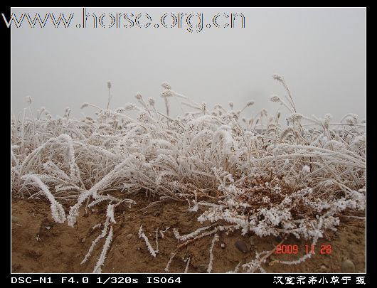 [永定河耐力赛掠影]志愿者英姿：众人拾柴火焰高，战地霜花分外靓