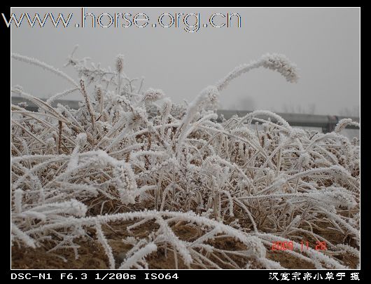 [永定河耐力赛掠影]志愿者英姿：众人拾柴火焰高，战地霜花分外靓