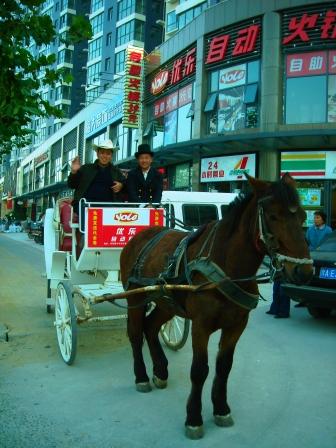 奔驰在黄河大草原