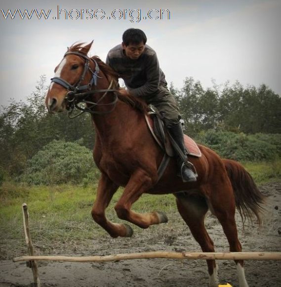 12月14日 马帮几个马友在河边 烧烤 @越障碍