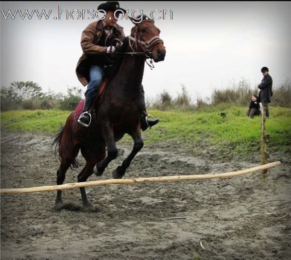 12月14日 马帮几个马友在河边 烧烤 @越障碍