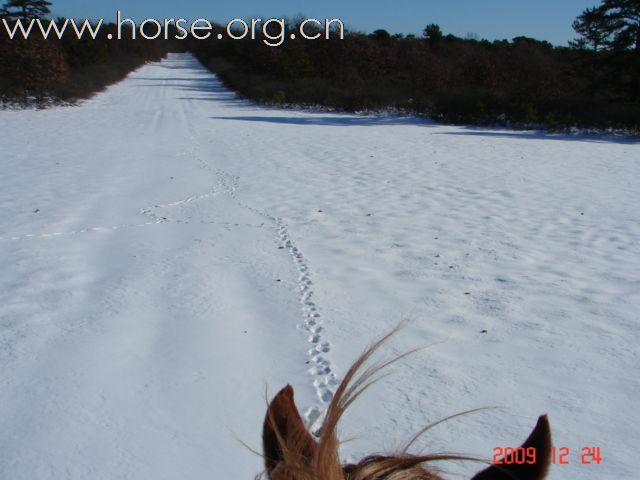 开放雪骑