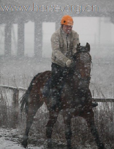 {马场雪骑}嘉兴马友们在冰雪中战斗着！！！